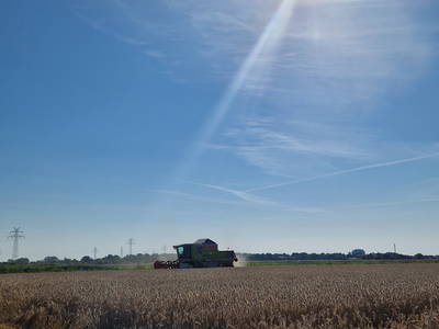 Bild 60 aus  Küstenhof Oldewurtel