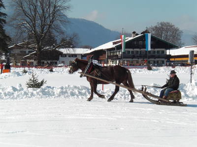 Pferdeschlittenfahrt