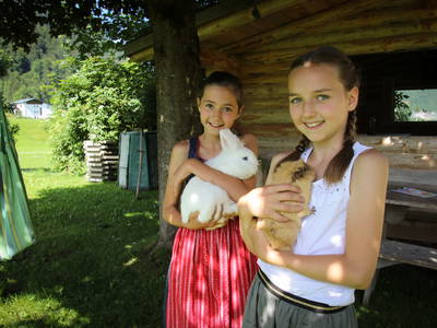 Bild 35 aus  Haus Bergquell mit Pferdestall