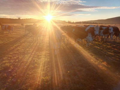 Bild 5 aus  Hilpertenhof