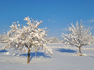 Bild 11 aus  Niederauer Hof
