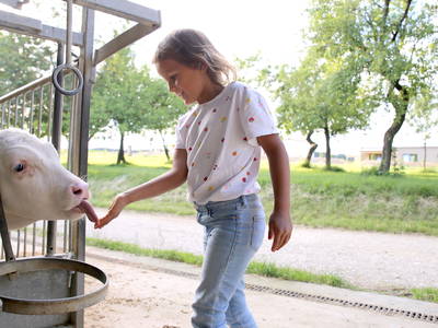 Bild 53 aus  Hollweck's Landoase