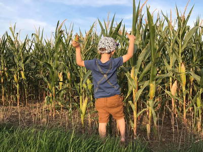 Bild 17 aus  Weihersmühle