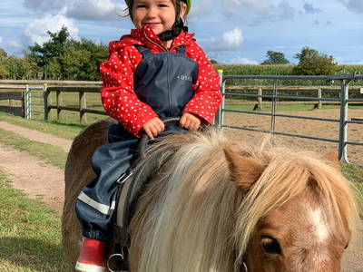 Bild 42 aus  Ferienhof Presener Deichkrone