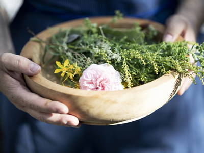 Bild 29 aus  Traubenhof    Pures Leben-Echt und natürlich
