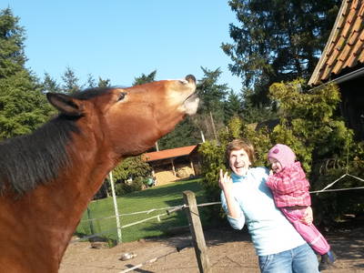 Bild 7 aus  Pension Buschkotten - Fam. Nettelnstroth