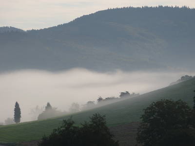 Bild 20 aus  Kempfenhof