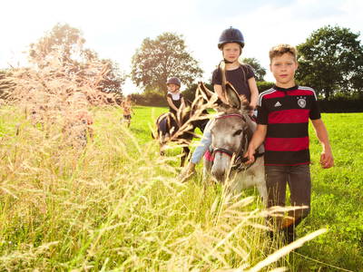 Bild 18 aus  Ostseebauernhof