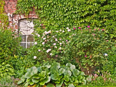 Bauerngarten in Blütenpracht