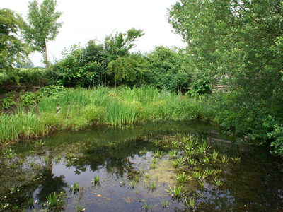 Bild 6 aus  Ferienhof Falk