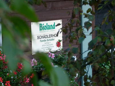 Bild 8 aus  Schädlerhof