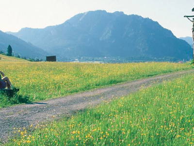 Bild 12 aus  Zoberbauer