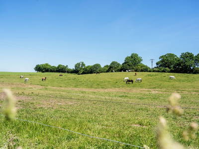 Bild 9 aus  Gut Ludwigsburg