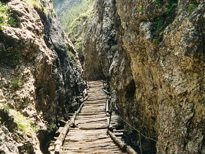 Bild 26 aus  Wieserhof