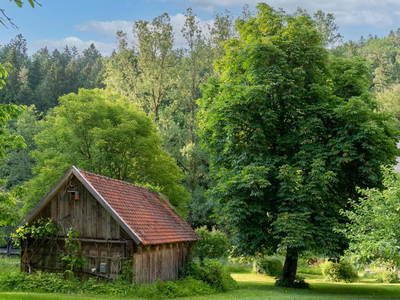 Bild 13 aus  Ferienwohnungen Mittermurnthal