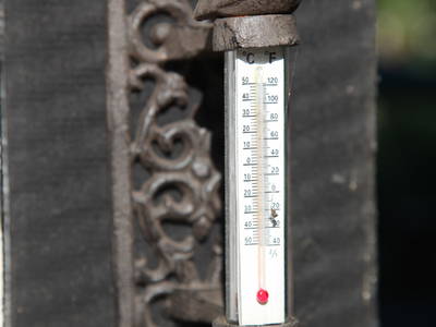 Bild 39 aus  Steinermühle