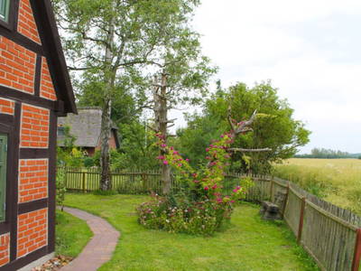 Bild 3 aus  Backhaus Swantow