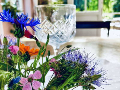 Bild 6 aus  Gutshaus Gottin