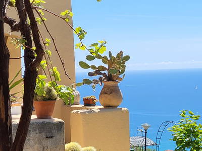 Bild 20 aus  Oliva Azzurra Appartamento