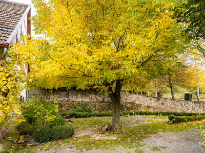 Bild 53 aus  Gut Neuwerk