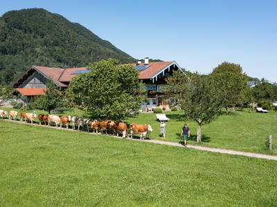 Bild 6 aus  Großrachlhof