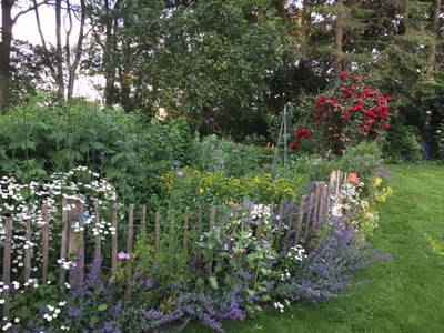 Bild 3 aus  Hof hinterm Deich