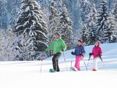 Bild 41 aus  Köllhof