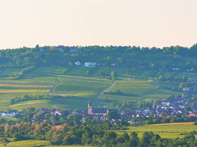 Ockenheim mit Blick zum Jakobsberg
