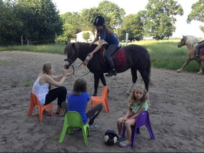 Bild 21 aus  Nübbelhof