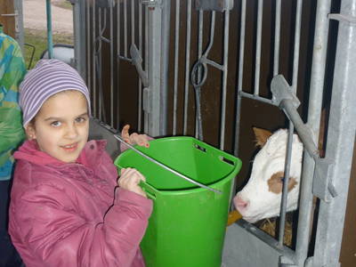 Bild 19 aus  Luginger Hof