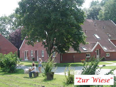 Bild 4 aus  Hof Sassen