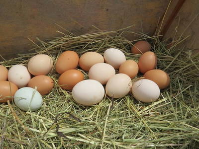 Bild 14 aus  Hof Wahls