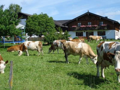 Bild 5 aus  Ferienhof Fink