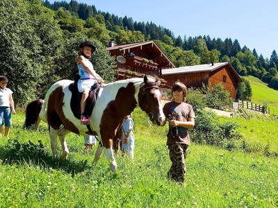 Bild 3 aus  Martenhof