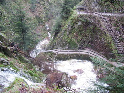 Bild 63 aus  Ferienhaus - Ferienwohnungen Müllerbauernhof im Schwarzwald.