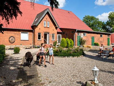 Bild 2 aus  Sonis kleine Farm Grömitz