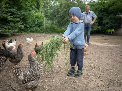 Bild 5 aus  Rittergut Schwanditz