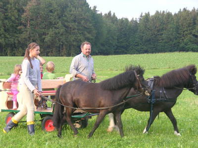 Bild 13 aus  Fröschlhof