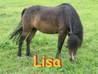 Bild 15 aus  Gasthof zum Grünen Baum