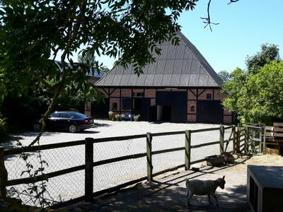 Bild 37 aus  Ferienhof Nielson