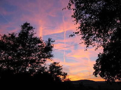 Bild 14 aus  Ferienhof Schmidt-Köss