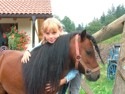 Bild 10 aus  Ferienhof Pauli