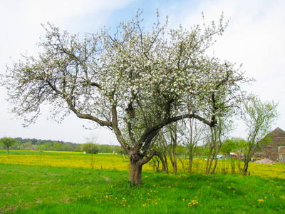 Bild 19 aus  Sonnenlandhof