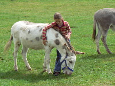 Bild 5 aus  Campingplatz Edersee-Paradies