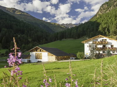 Bild 4 aus  BIO Bergbauernhof Inner-Glieshof