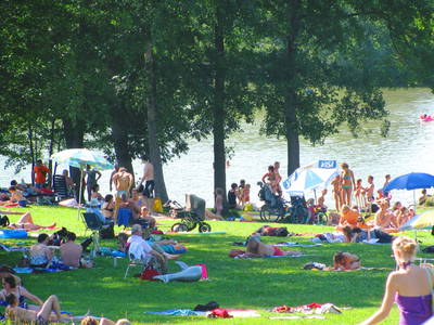 Bild 14 aus  Franzen Hof  Koch