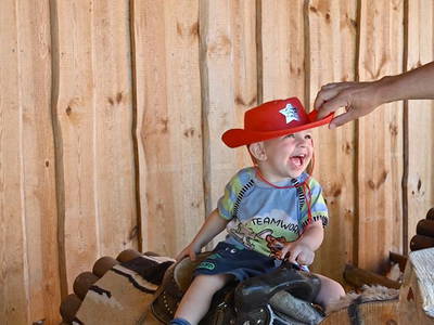 Bild 36 aus  Steigerwaldhof Krafft