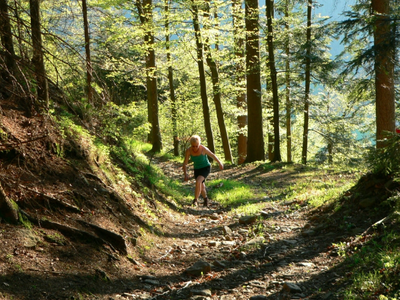Bild 28 aus  BioFerienhof Höfler