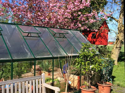 Bild 9 aus  Nase im Wind