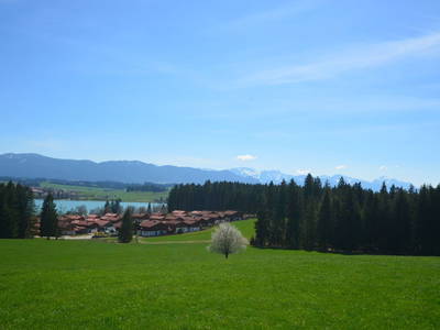 Bild 11 aus  Ferienhäuser Via Claudia